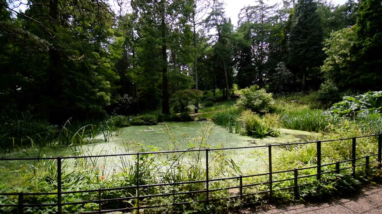 SUMMER II - 剧照