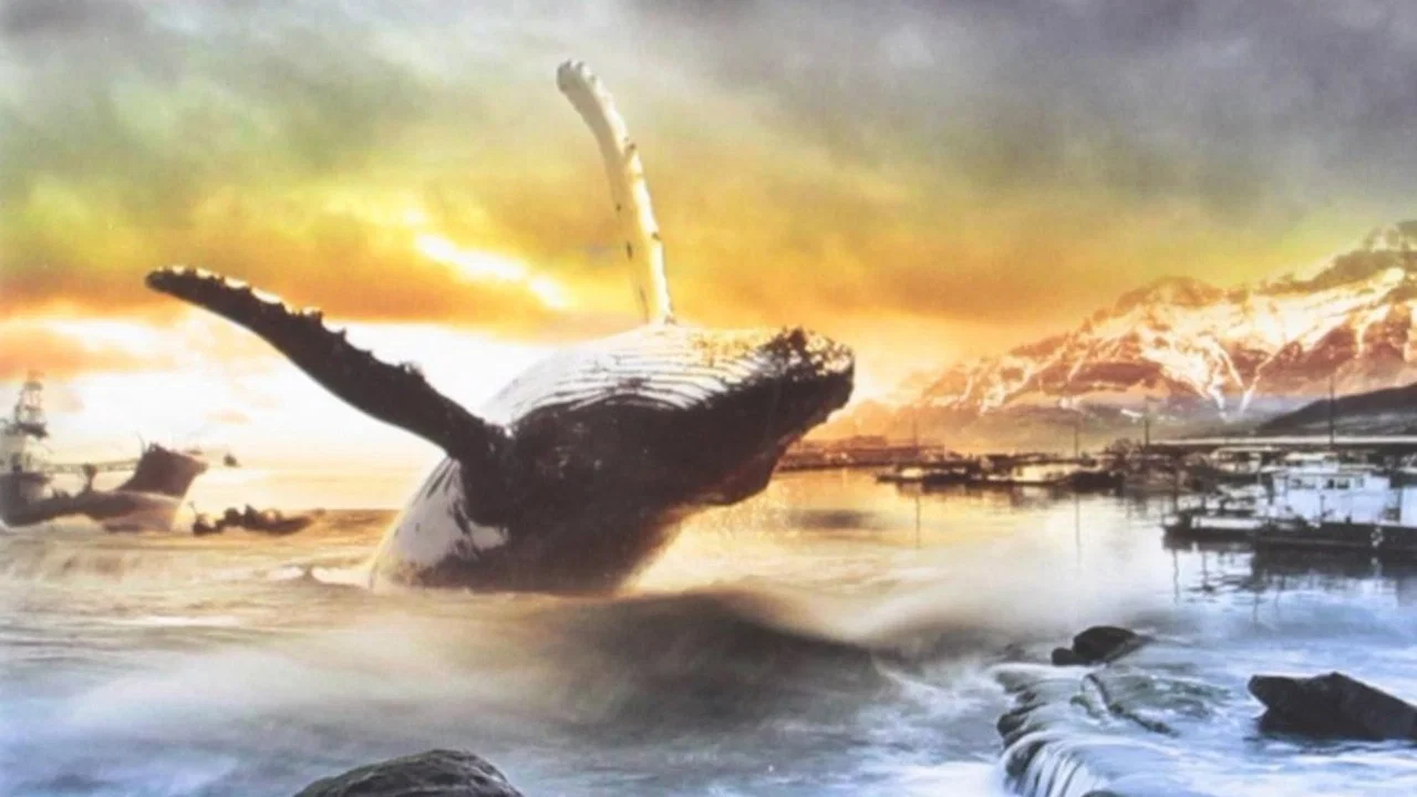 A Whale for the Killing - 剧照