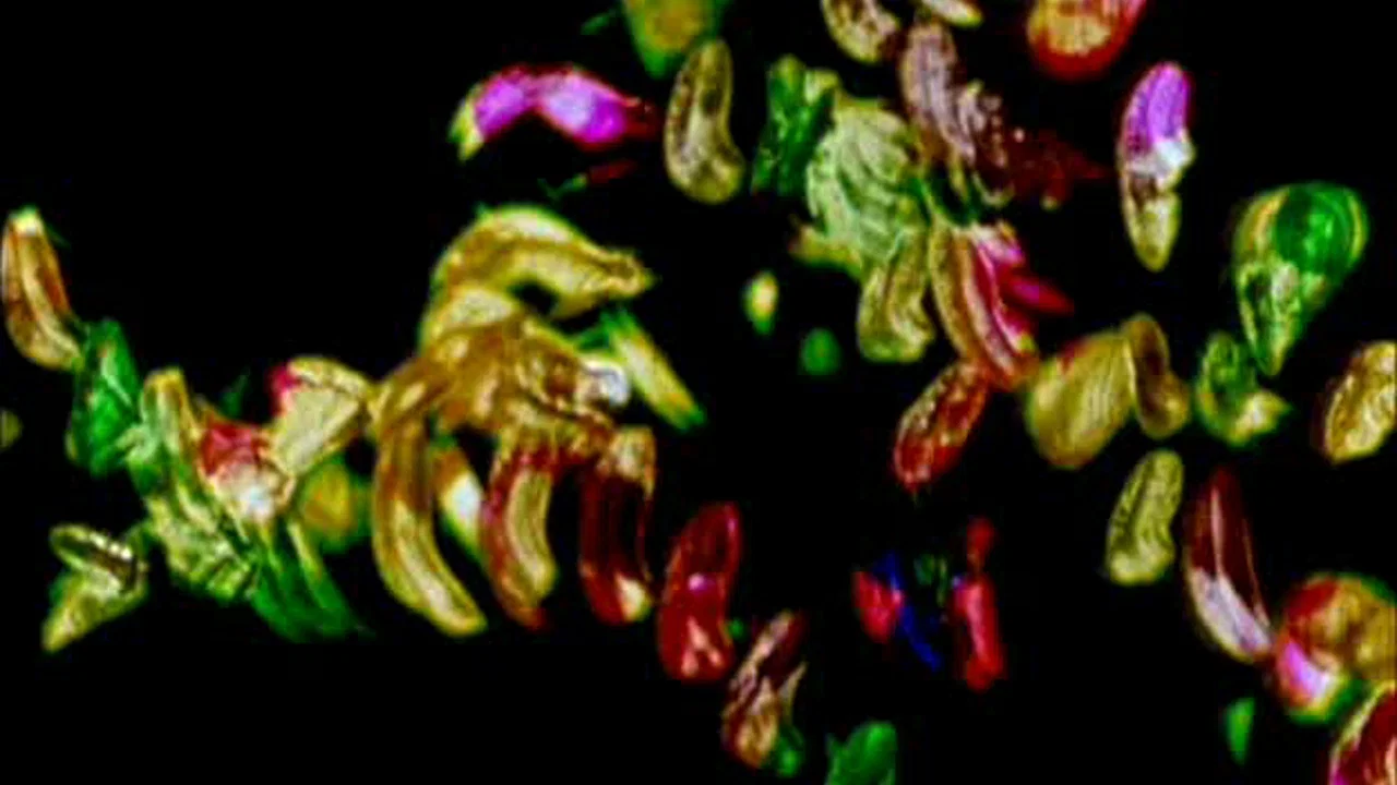 Glaze of Cathexis - 剧照