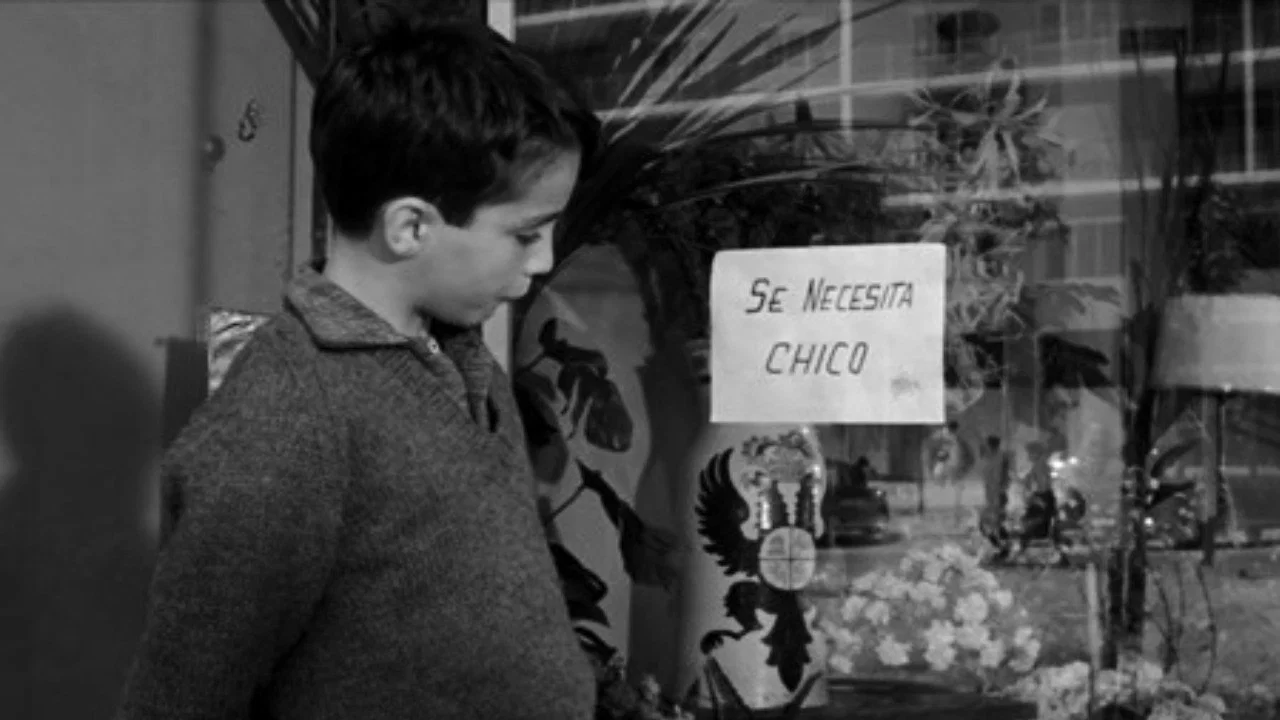 Se necesita chico - 剧照