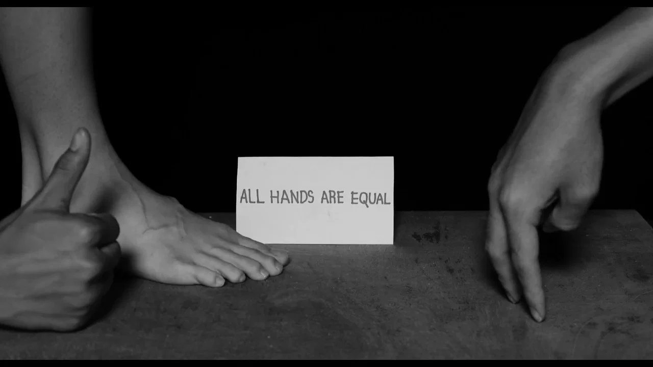 This Film is not in Reverse - 剧照