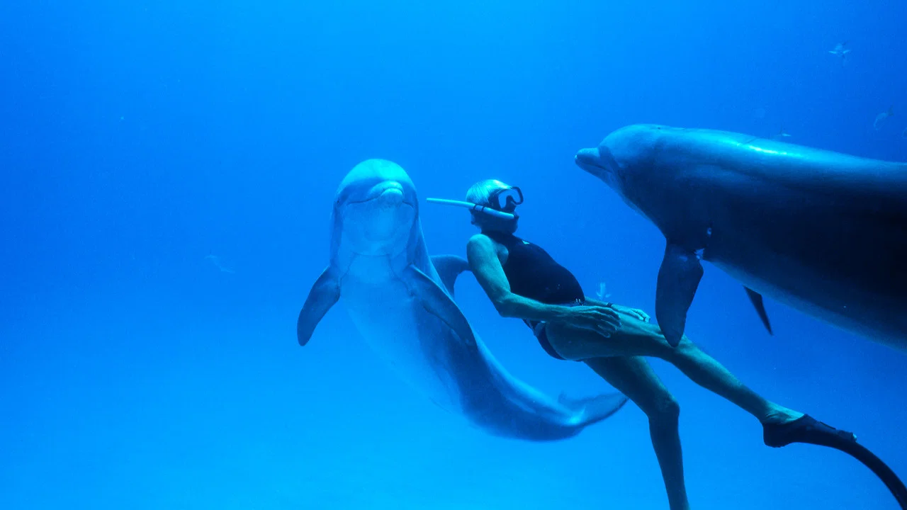 Dolphin Man - 剧照