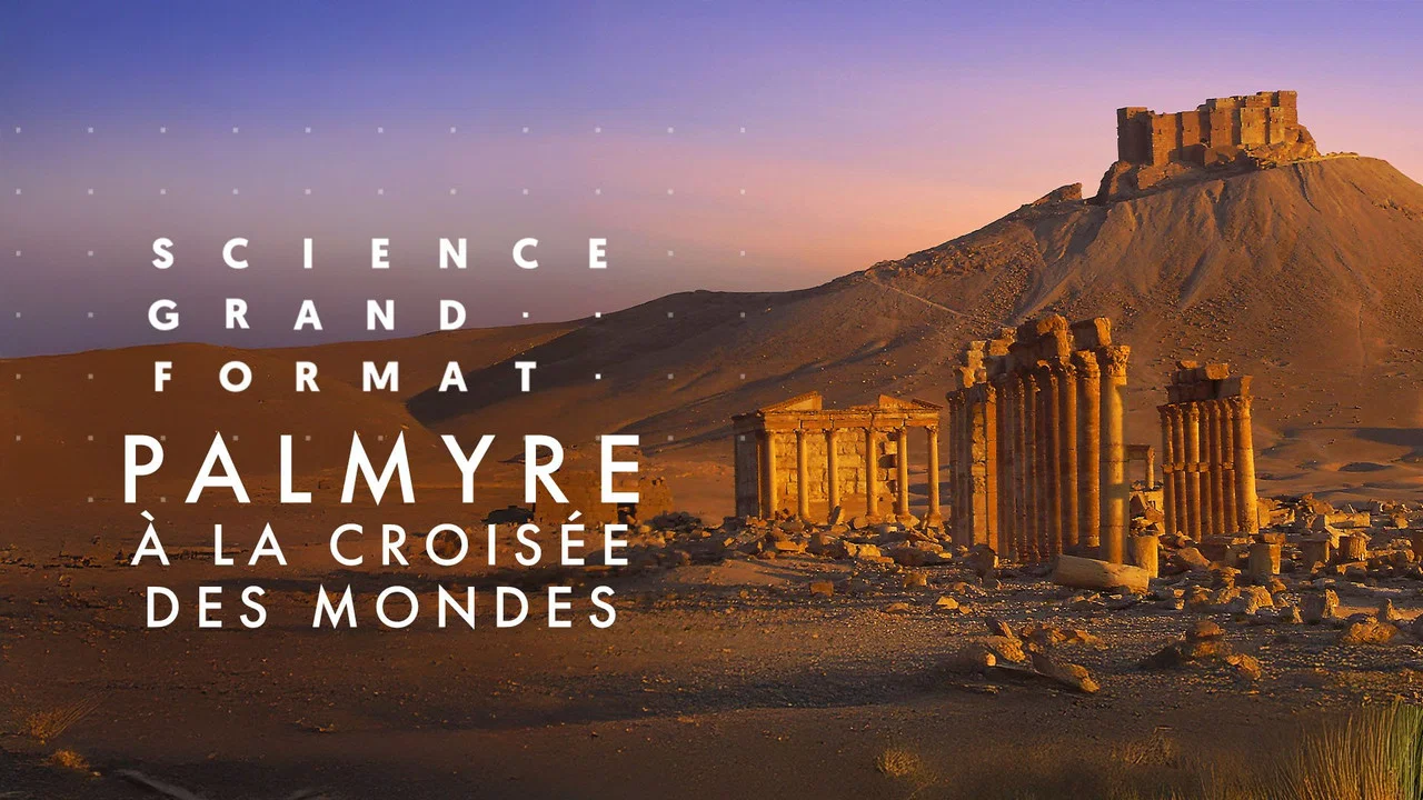 Palmyre, &agrave; la crois&eacute;e des mondes - 剧照