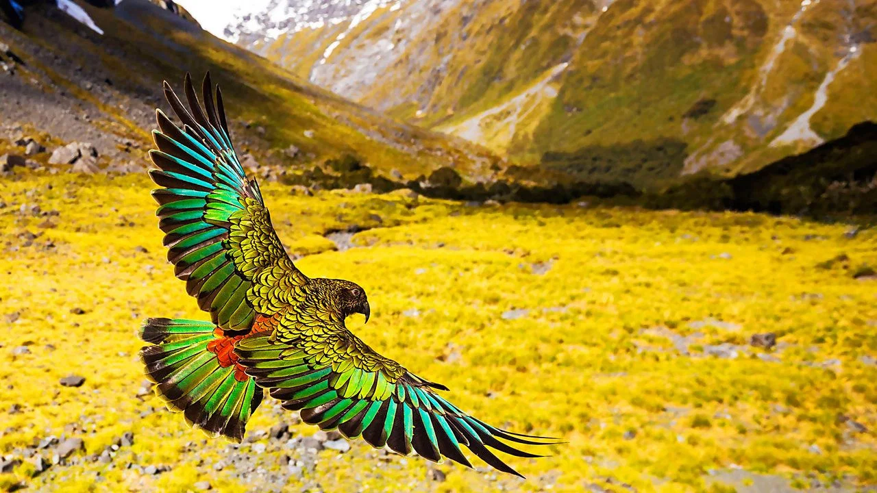 New Zealand: Earth's Mythical Islands - 剧照