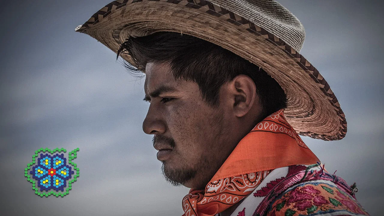 Huicholes: Los &Uacute;ltimos Guardianes del Peyote - 剧照