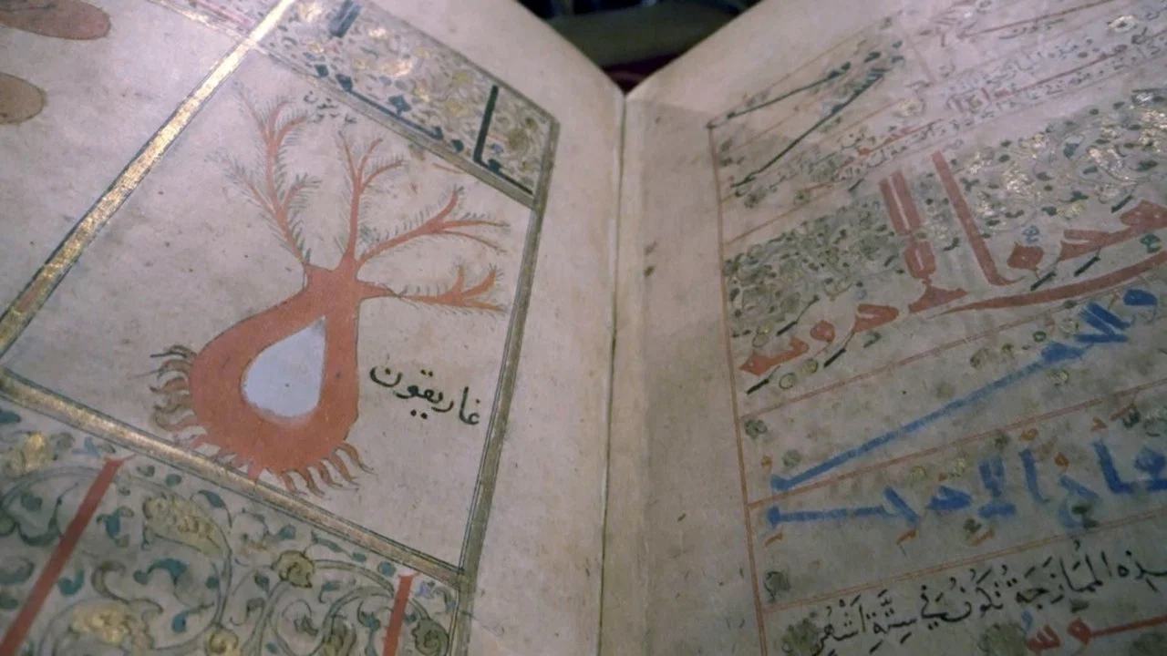 Les tr&eacute;sors oubli&eacute;s de la m&eacute;decine arabe - 剧照