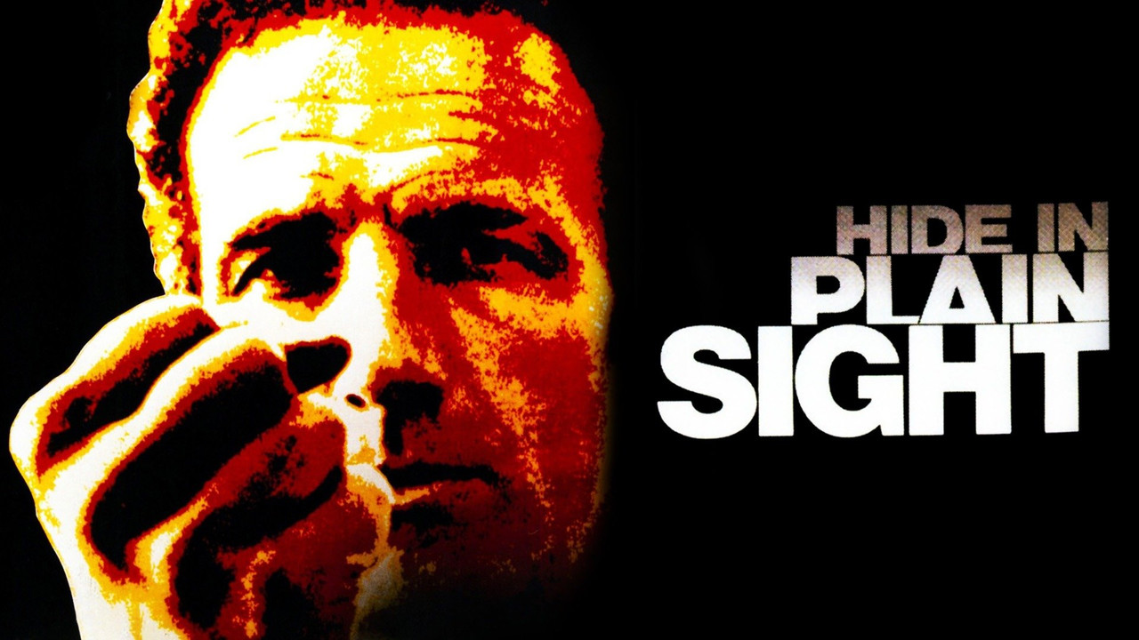 Hide in Plain Sight - 剧照