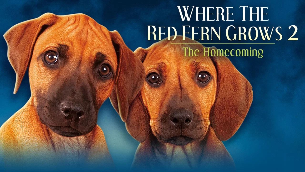 Where The Red Fern Grows Part 2 - 剧照