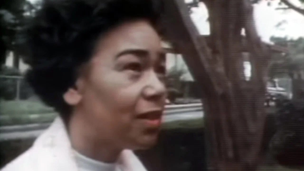Who Killed Fourth Ward? - 剧照
