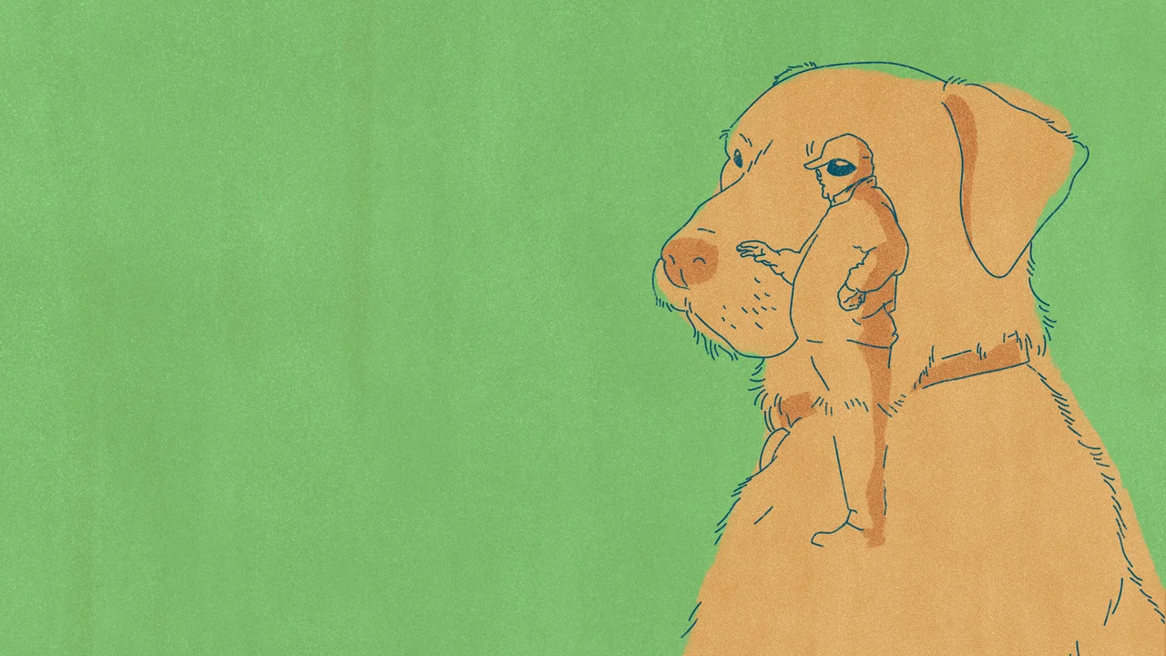 Old Dog - 剧照