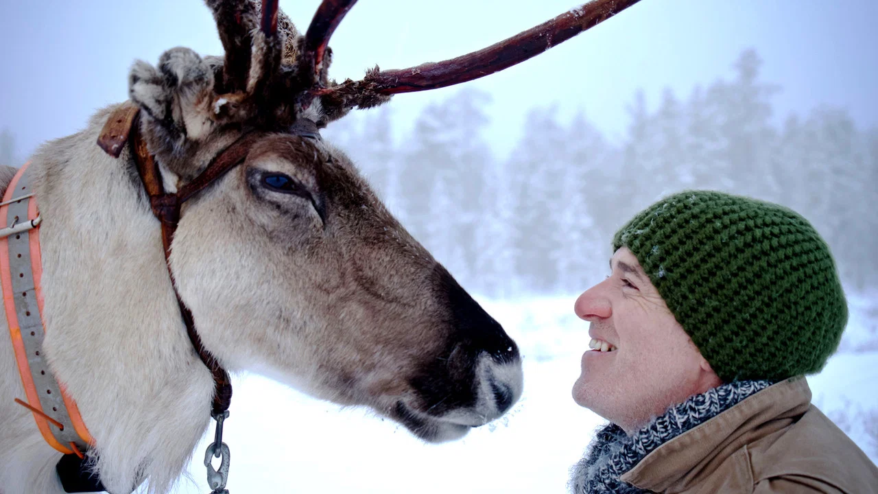 Reindeer Family & Me - 剧照
