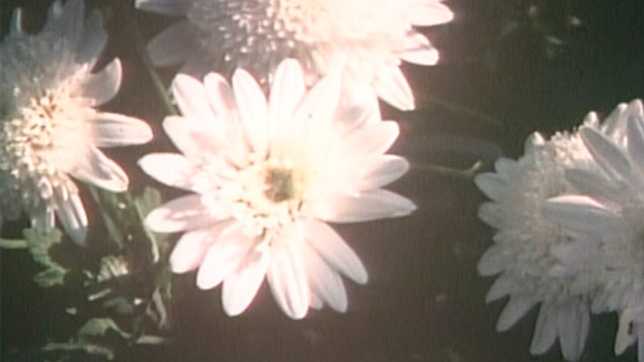 蜗牛 - 剧照