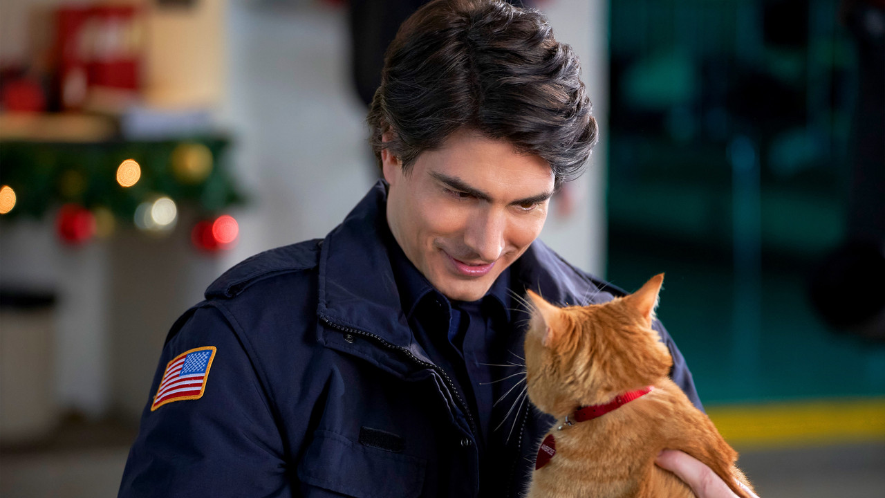 The Nine Kittens of Christmas - 剧照
