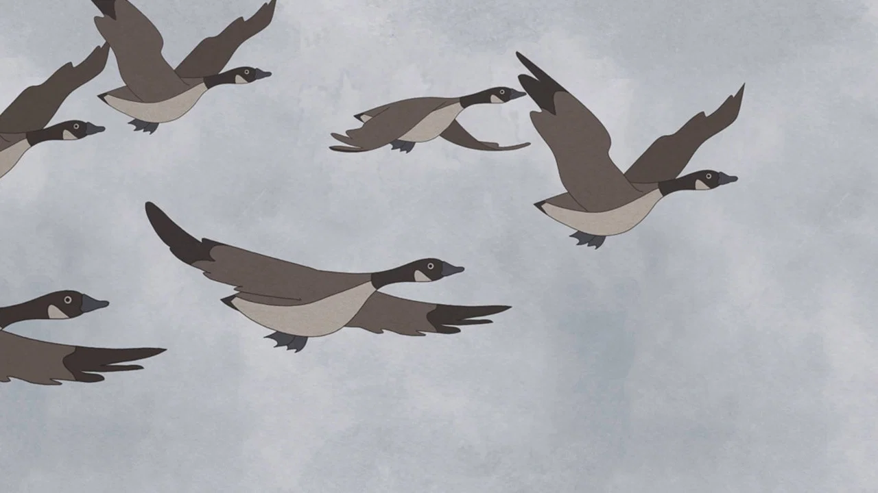 Hudson Geese - 剧照