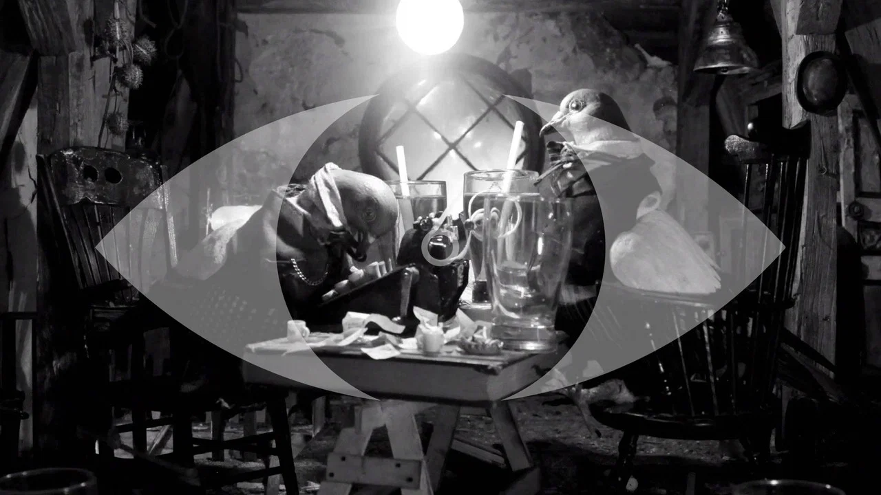 We Drink Too Much - 剧照