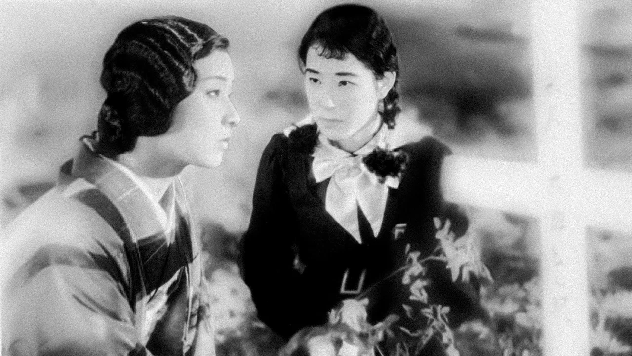 乙女シリーズその一　福寿草 - 剧照