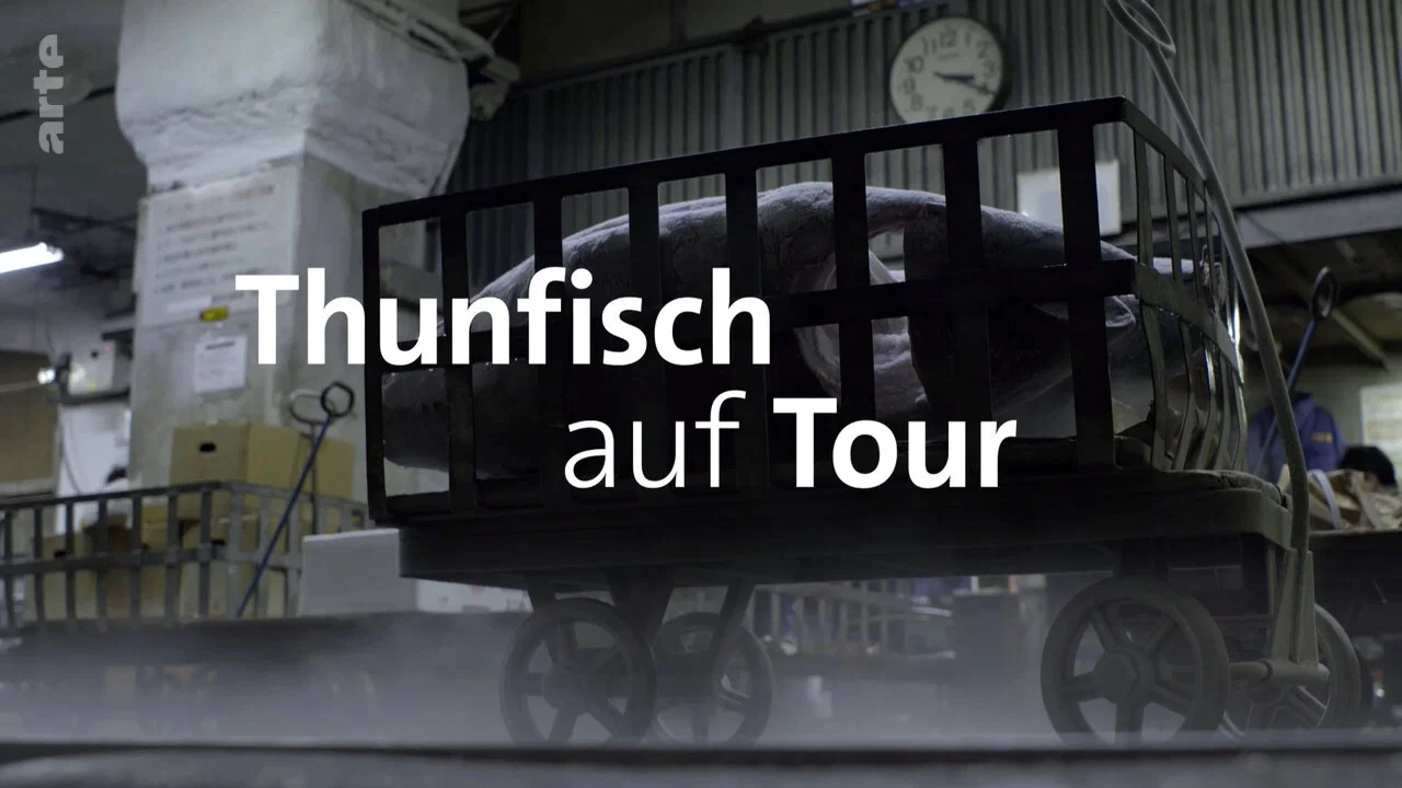 Thunfisch auf Tour - 剧照