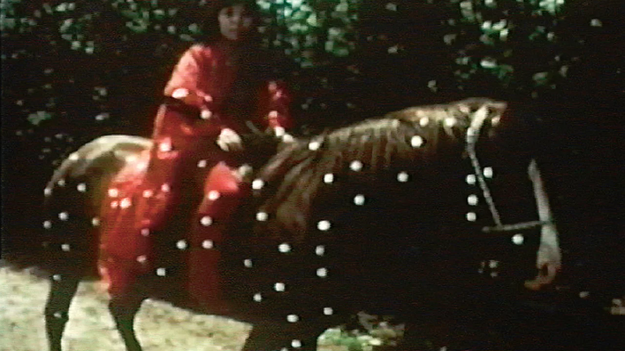 Kusama's Self-Obliteration - 剧照