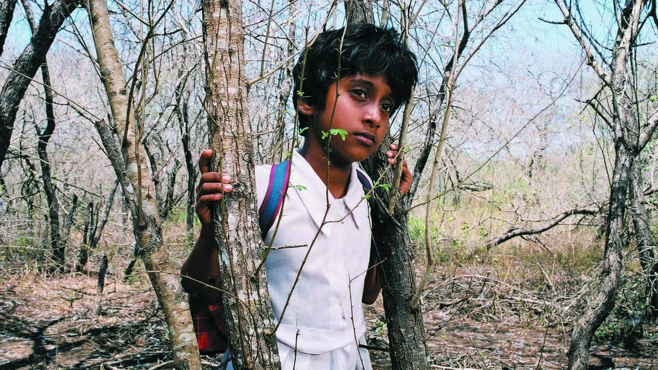 සුළඟ එනු පිණිස - 剧照