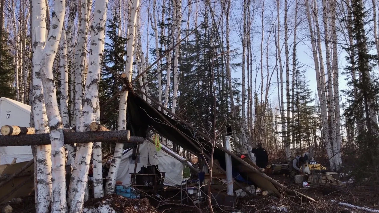 K'i Tah Amongst the Birch - 剧照