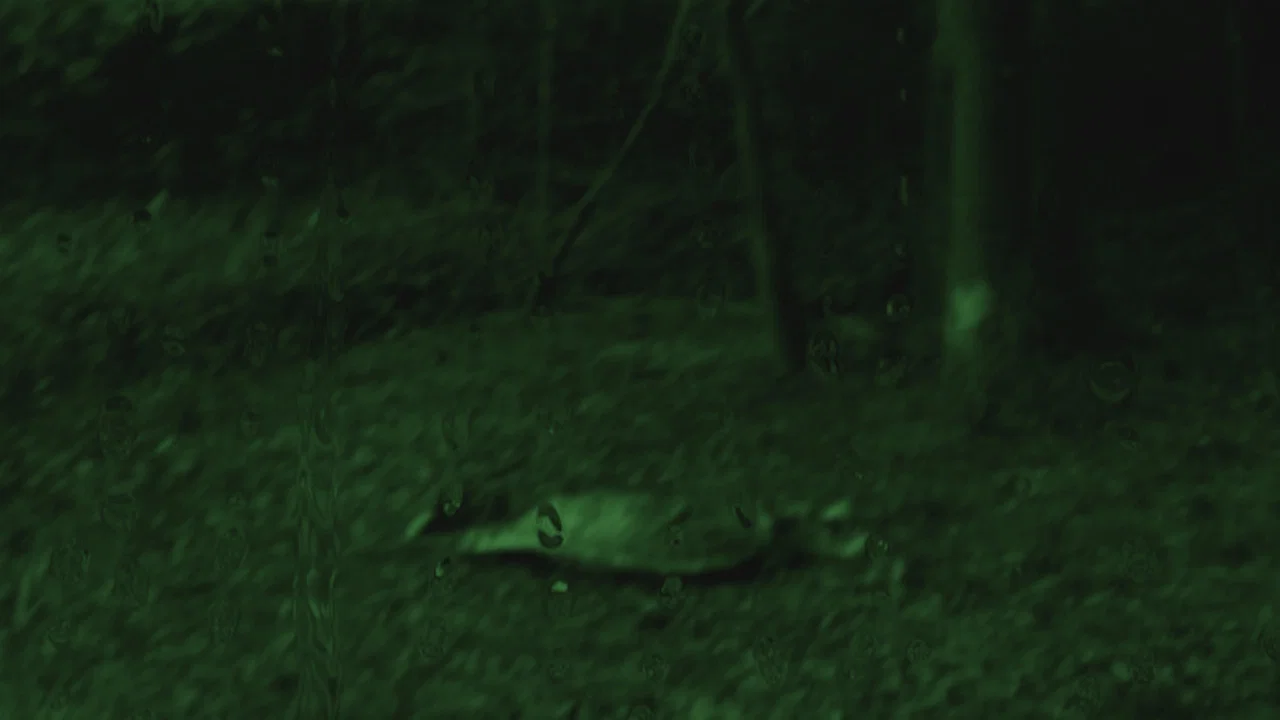 Horror Movie - 剧照