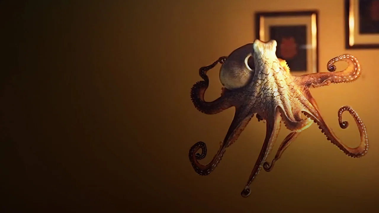 The Octopus in My House - 剧照