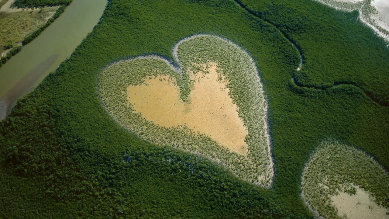 Nature : pour une r&eacute;conciliation - 剧照