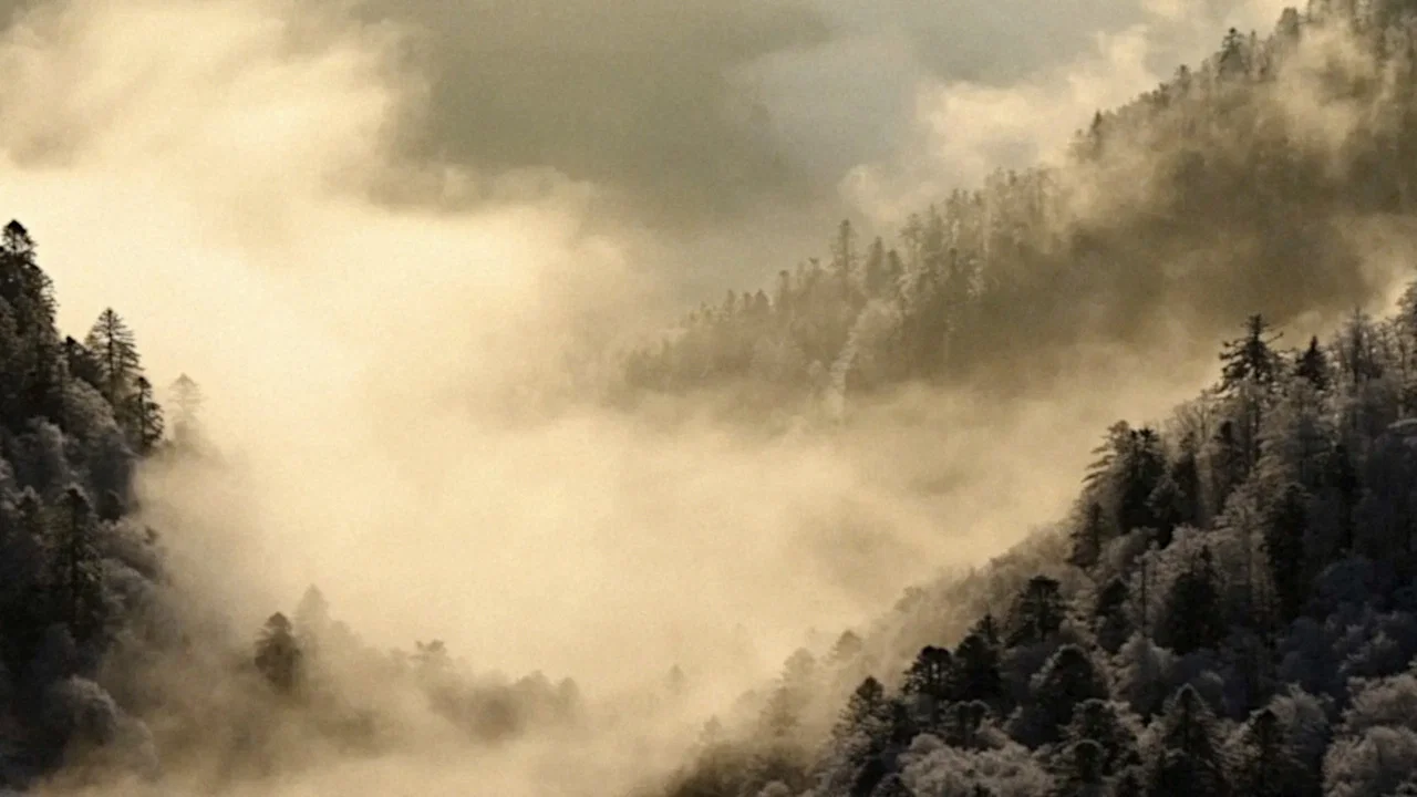 Le Chant des for&ecirc;ts - 剧照