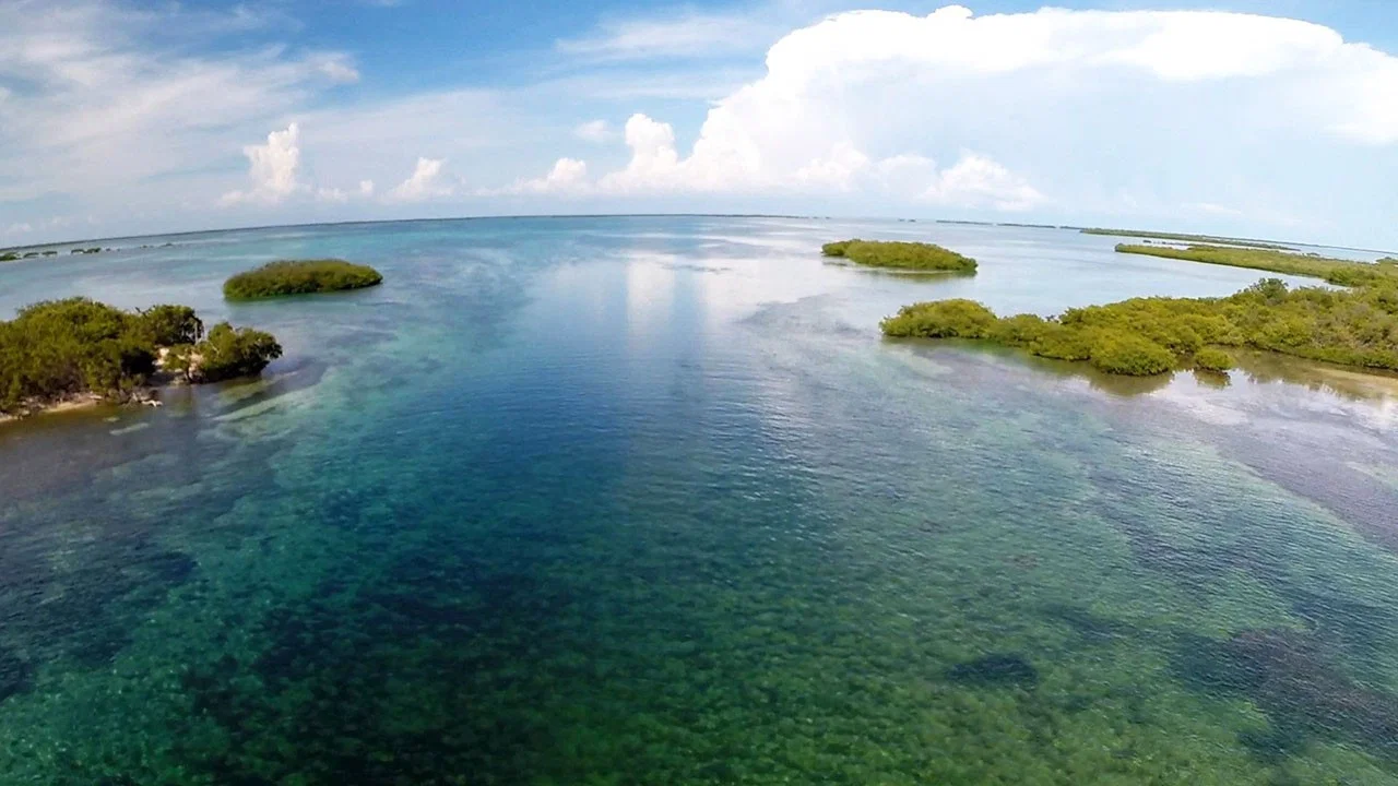 Castro's Secret Reef - 剧照