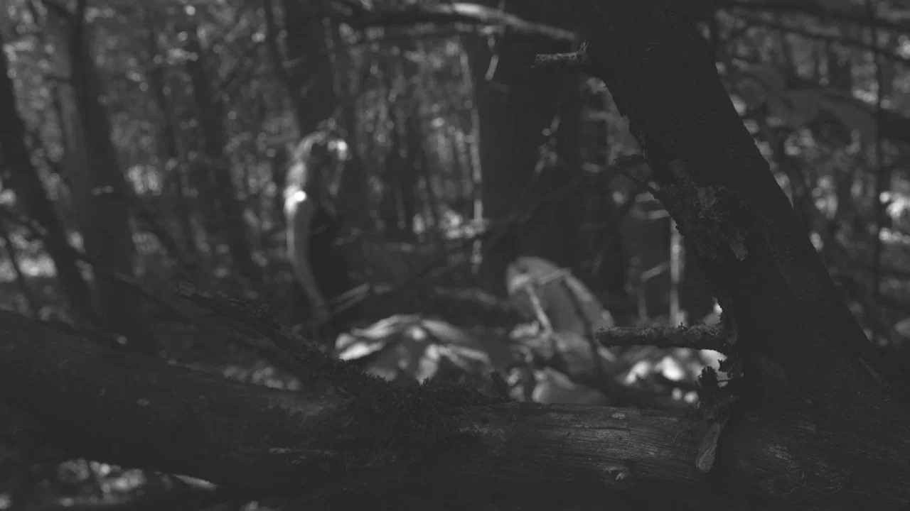 The Poet - 剧照