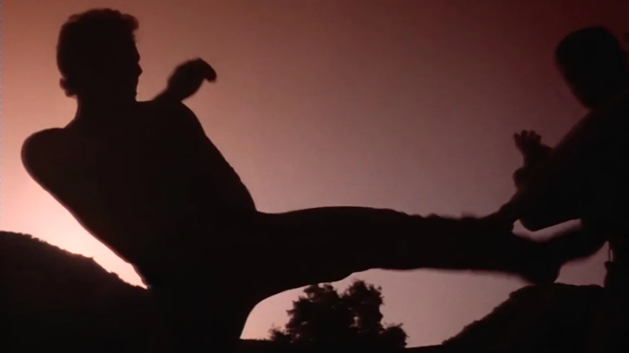 Savate - 剧照