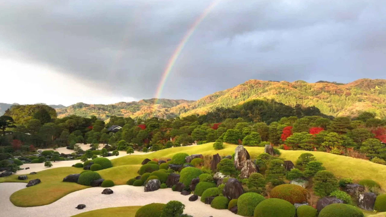 Chasing Perfection: Four Seasons with Japan's Master Gardeners - 剧照