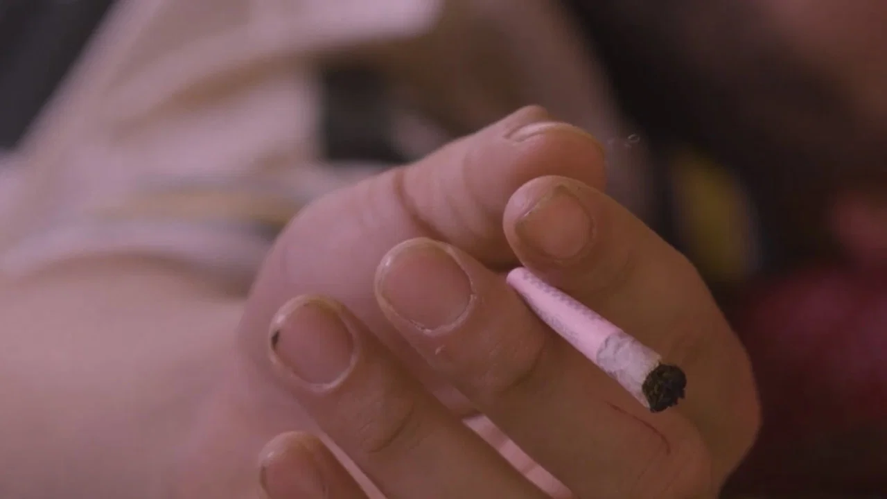 Girl Blunt - 剧照