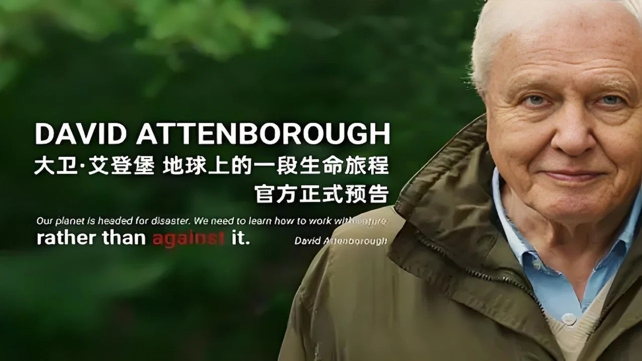 大卫&middot;爱登堡：地球上的一段生命旅程 - 剧照