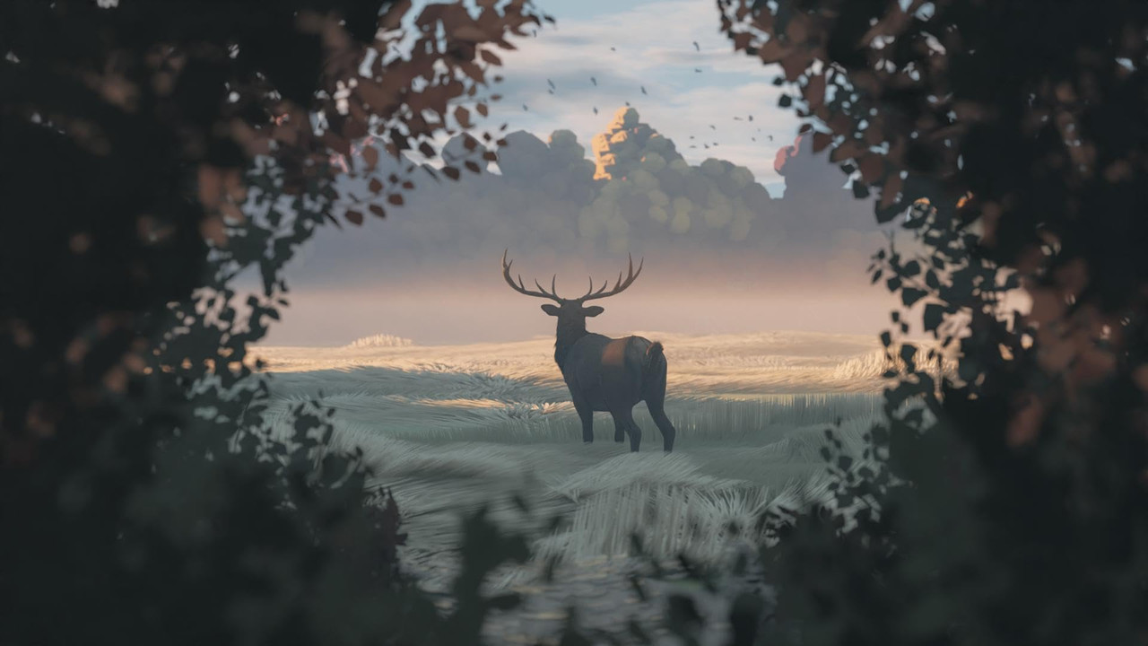 Under the Thicket - 剧照