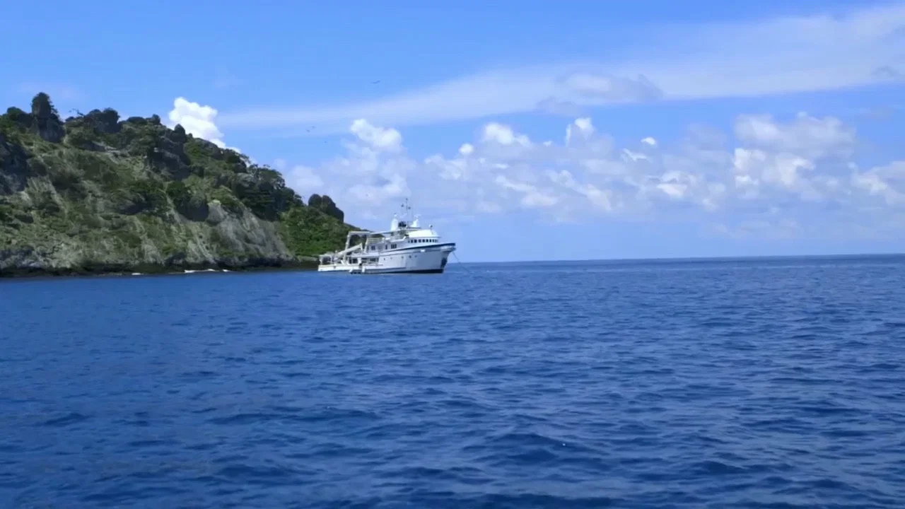 Shark Land: Welcome to Cocos Island - 剧照