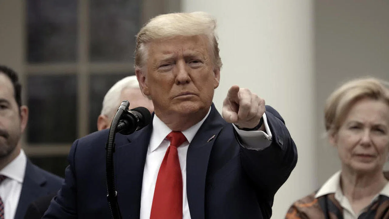 Im Wahn - Trump und die Amerikanische Katastrophe - 剧照
