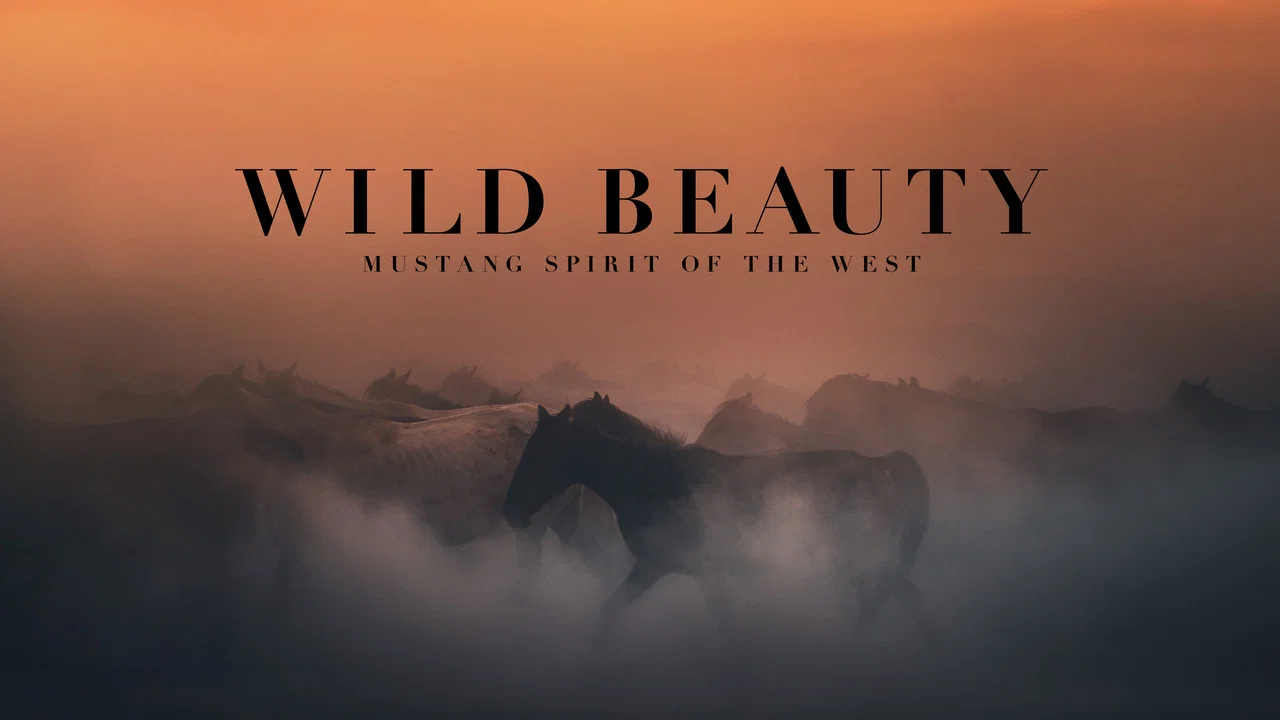 Wild Beauty: Mustang Spirit of the West - 剧照