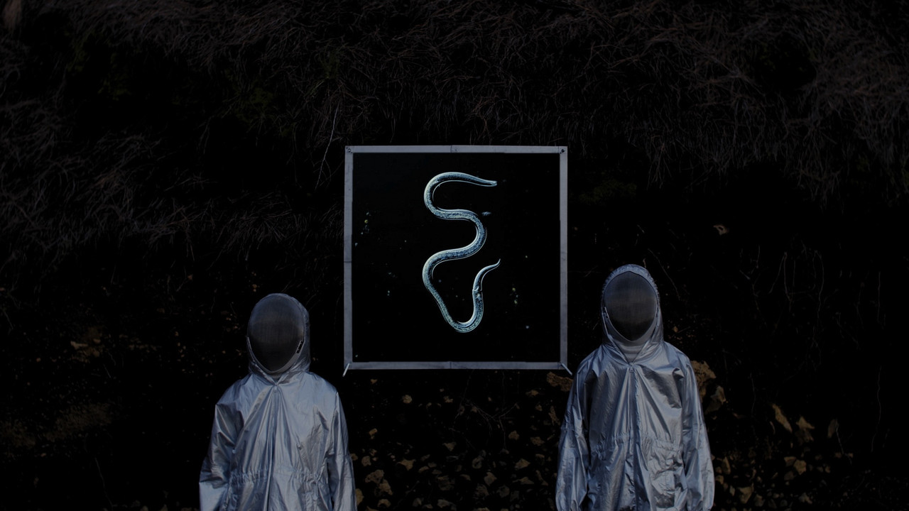 STRATA INCOGNITA - 剧照