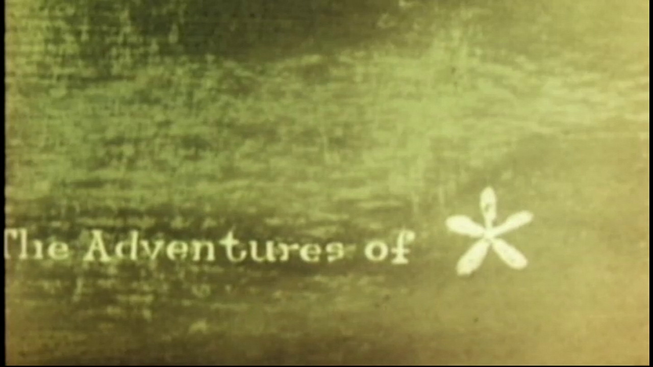The Adventures of * - 剧照