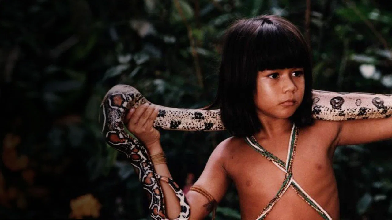 Tain&aacute;: Uma Aventura na Amaz&ocirc;nia - 剧照