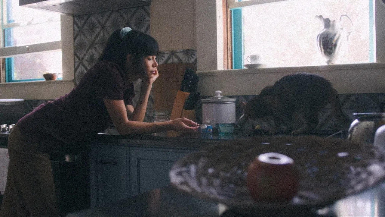 Chaperone - 剧照