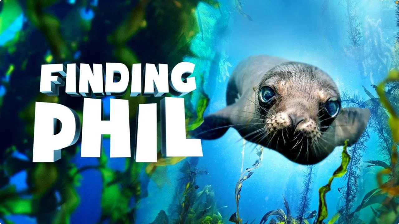 Finding Phil - 剧照