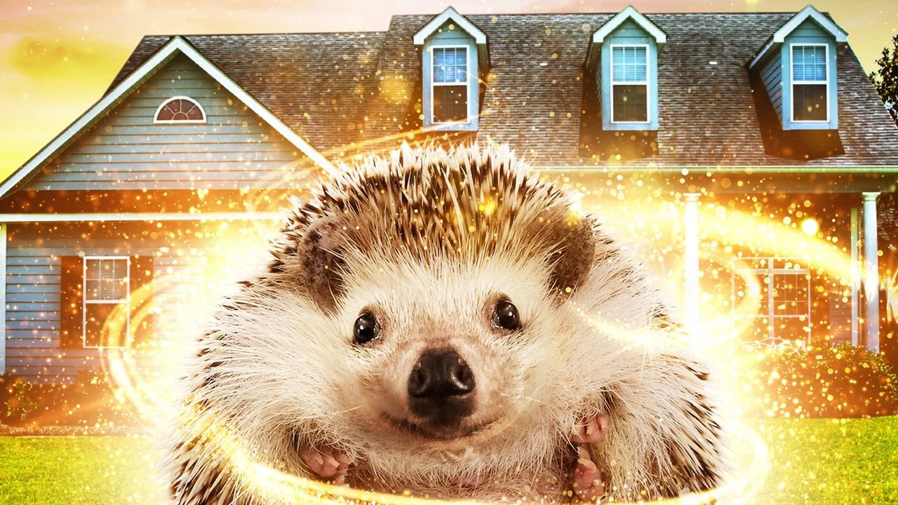 Andy the Talking Hedgehog - 剧照