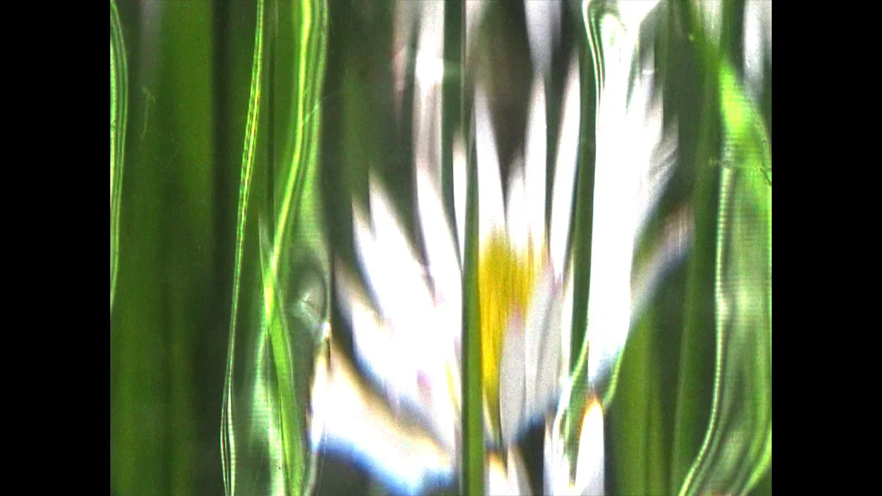 Losing Touch - 剧照