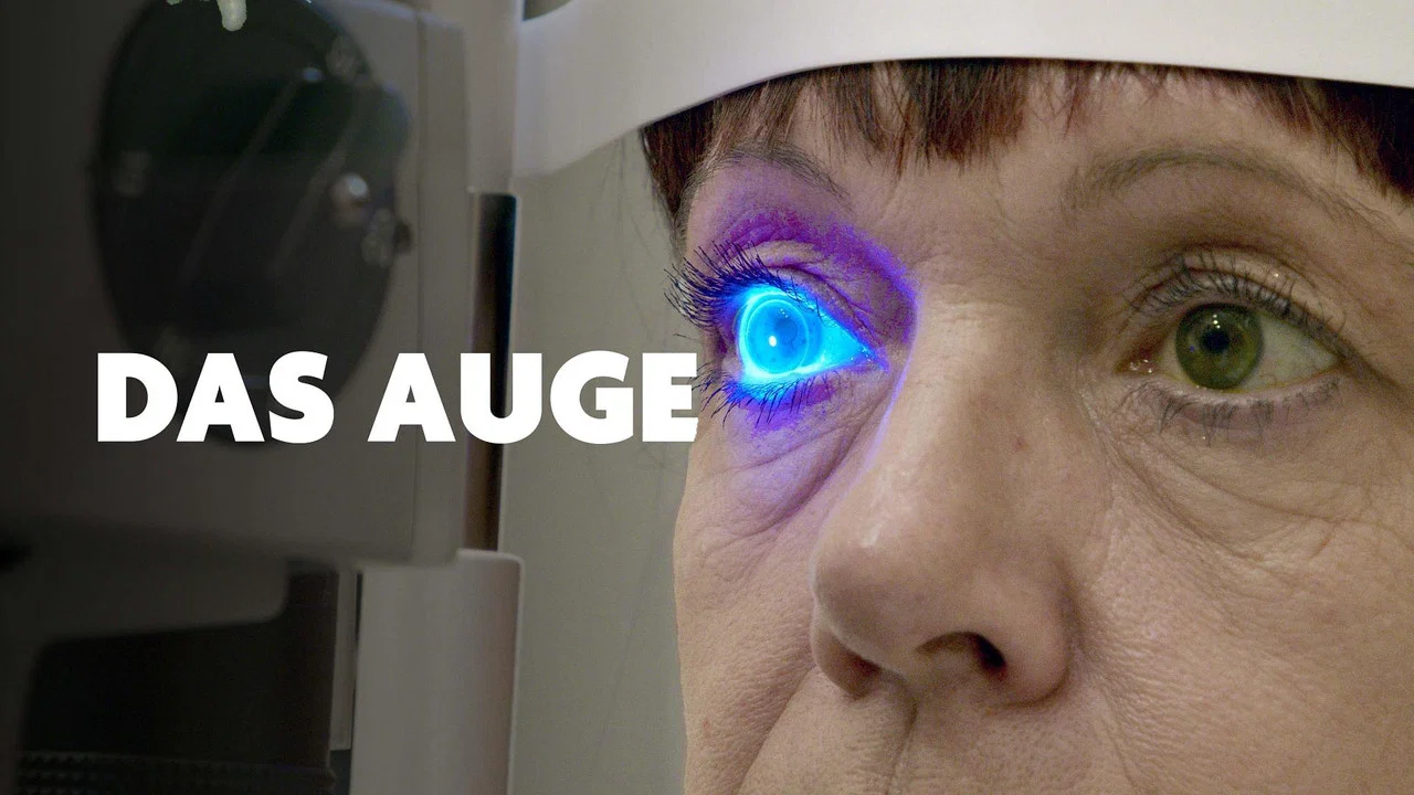 Das Auge - Forschung sehen - 剧照