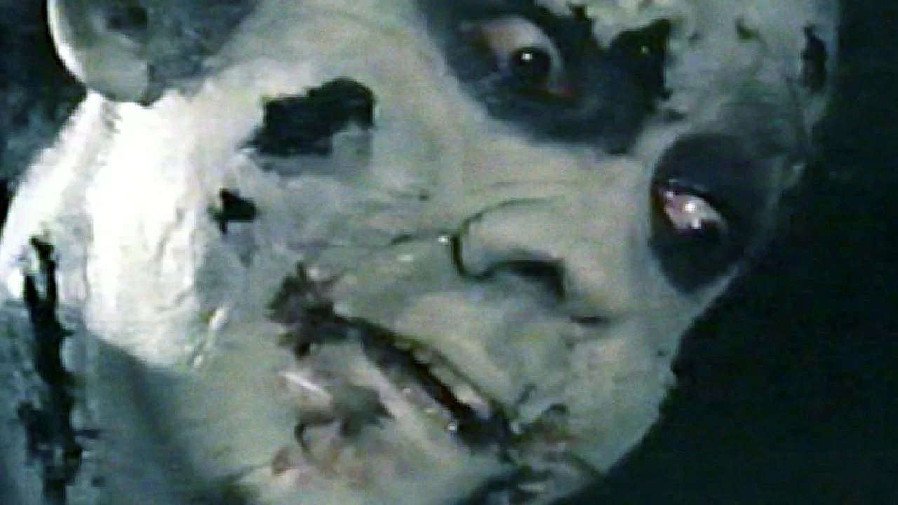 Night of the Zombies - 剧照