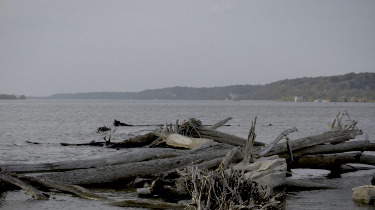 Smallpox Island - 剧照