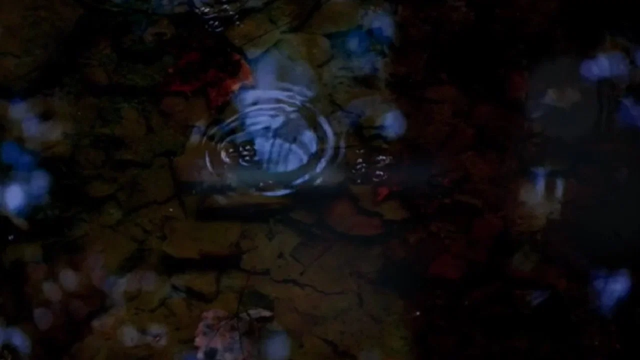Amygdala Warrior - 剧照