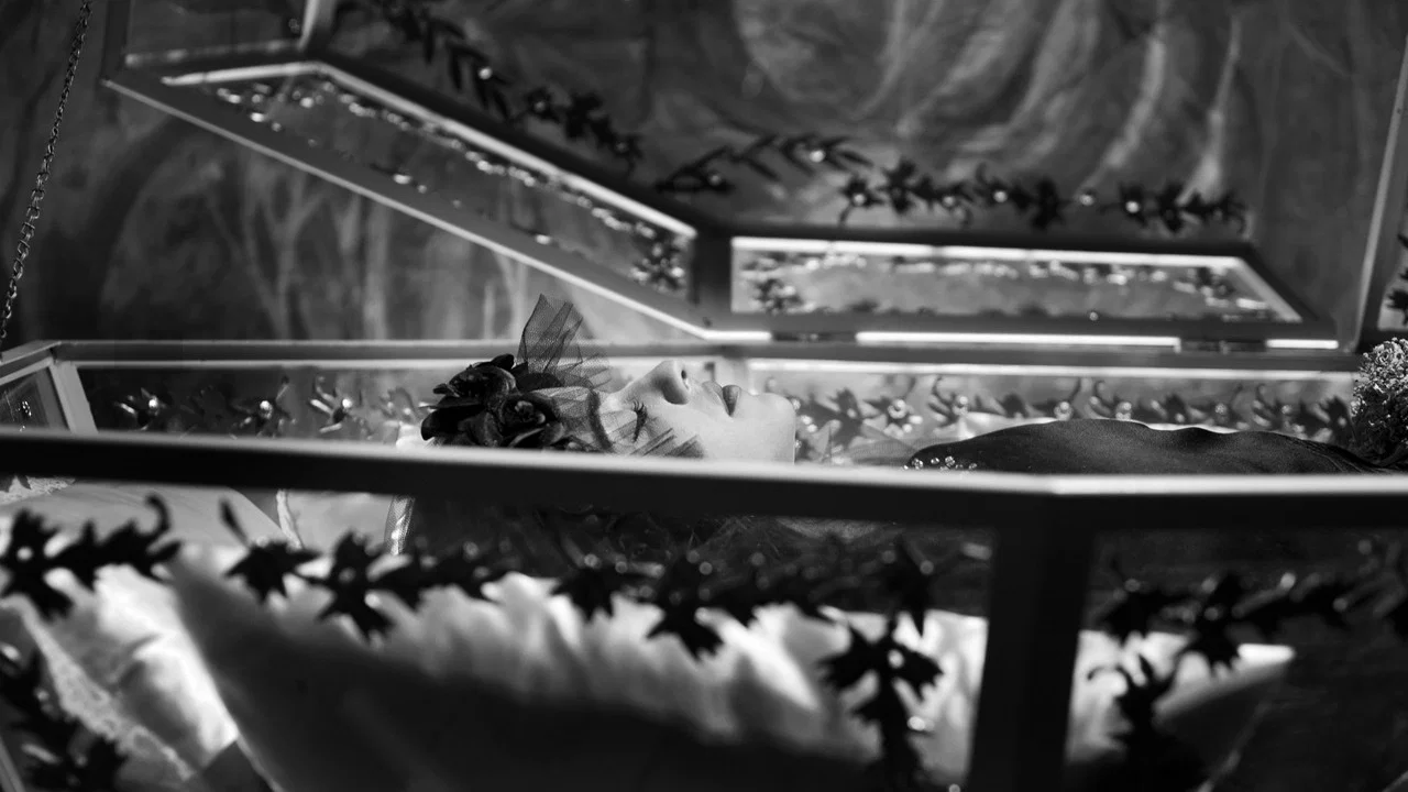 白雪公主斗牛记 - 剧照